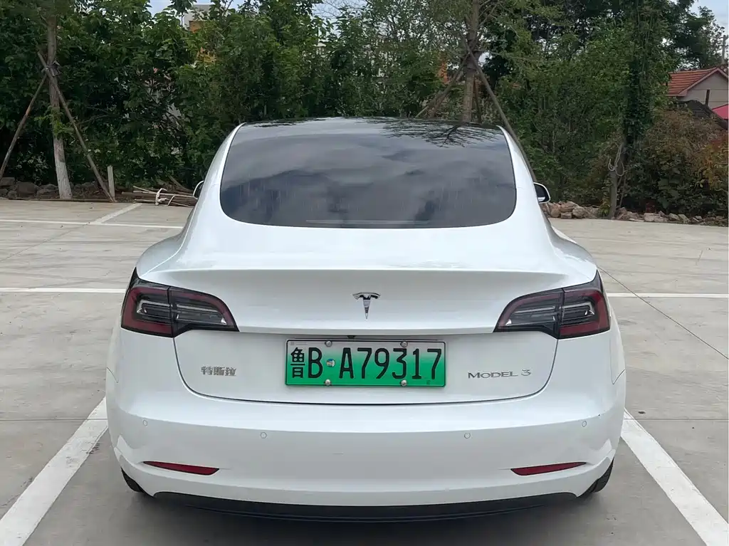 Tesla Model 3 — миниатюра 6