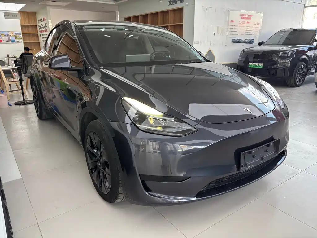 Tesla Model Y — миниатюра 3