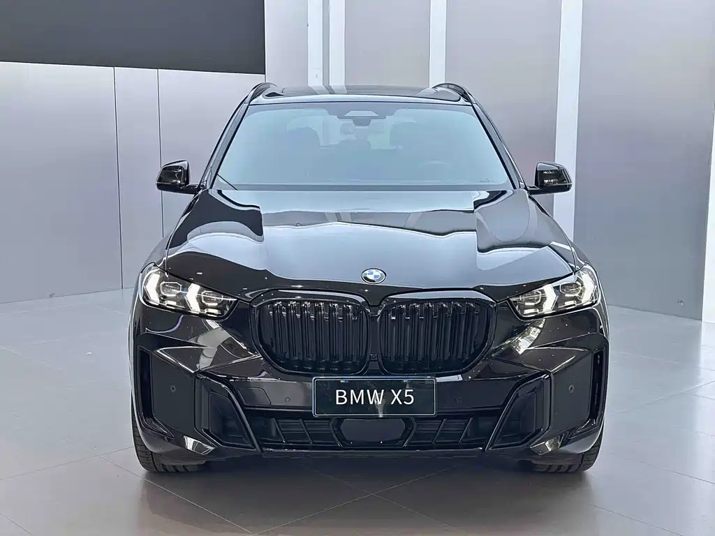 BMW X5 — миниатюра 2