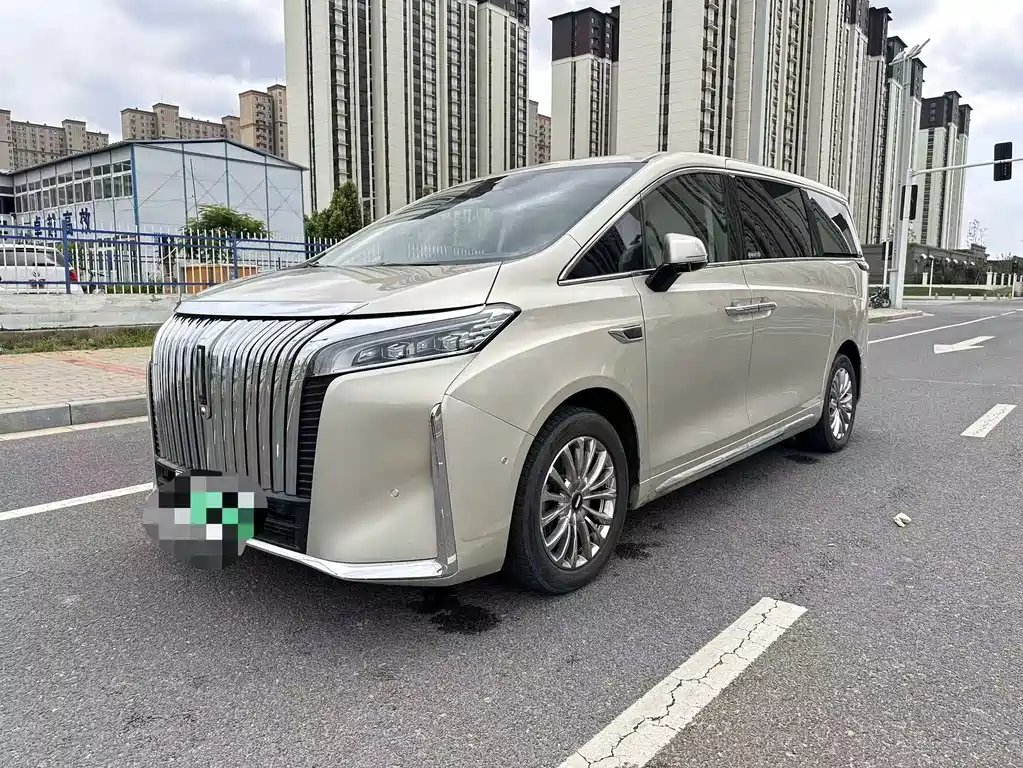 Wey Wey Gaoshan 2024