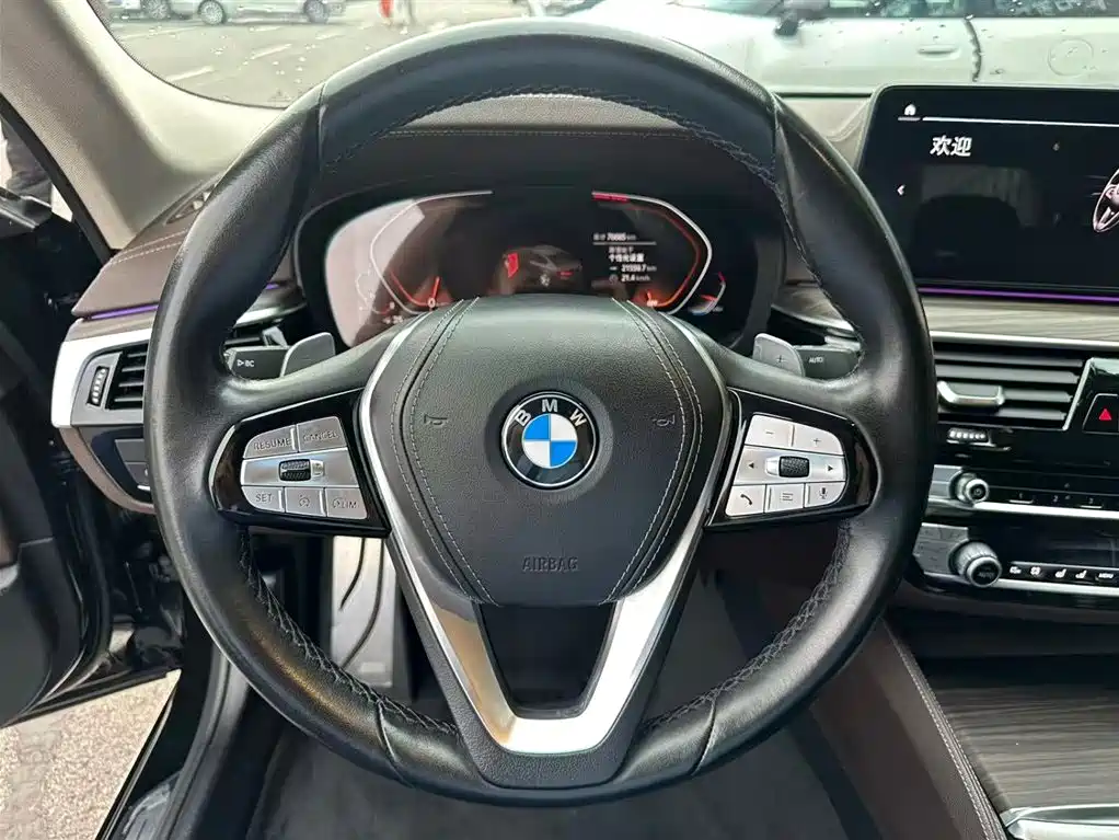 BMW 5 Series 5 2021 530Li Premium Luxury