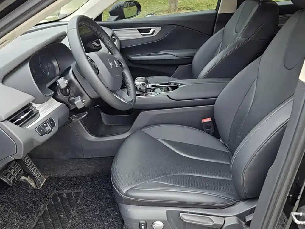 Hongqi E-QM5 2023 560km PLUS