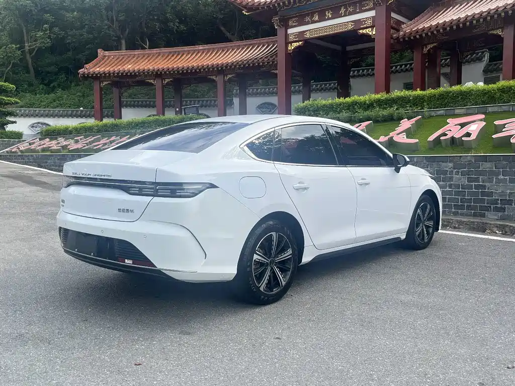 BYD Destroyer 05 — миниатюра 8