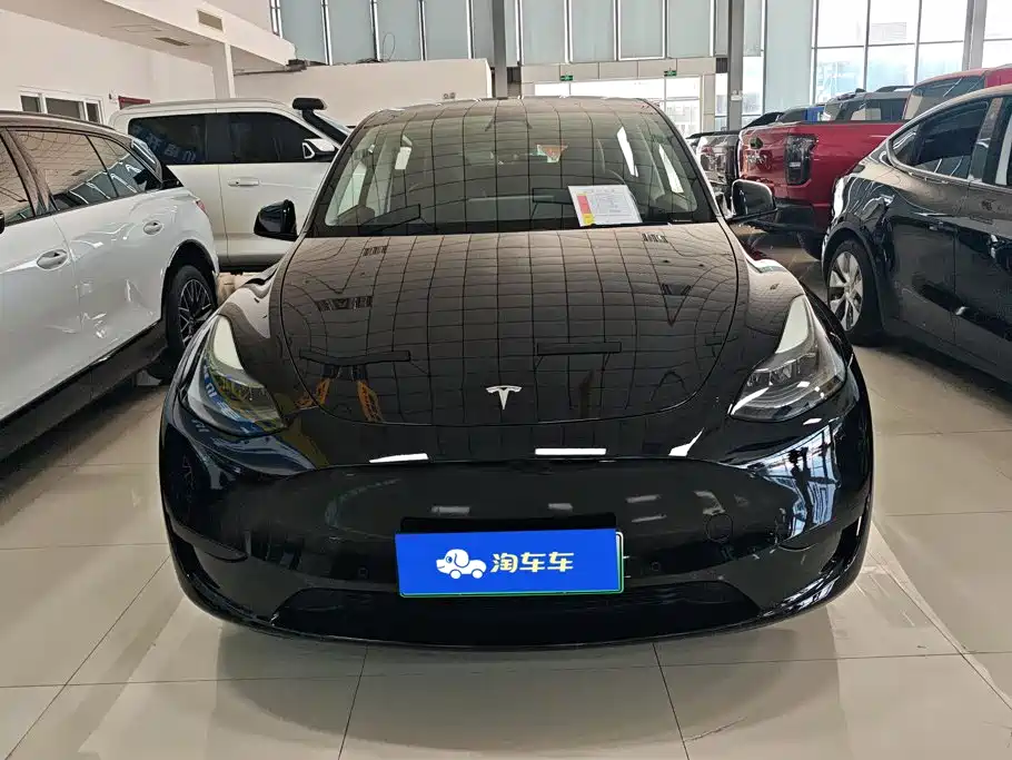 Tesla Model Y — миниатюра 2