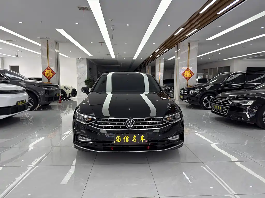 Volkswagen Magotan — миниатюра 2