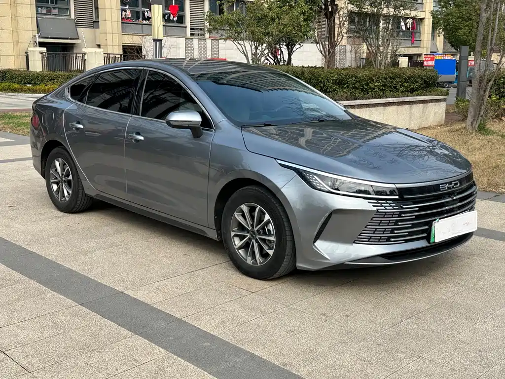 BYD DESTROYER 05