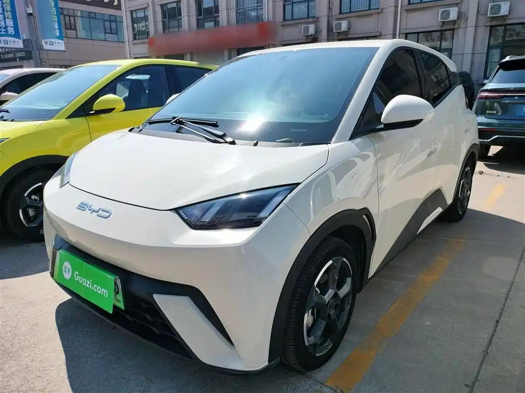 Byd Seagull 2024