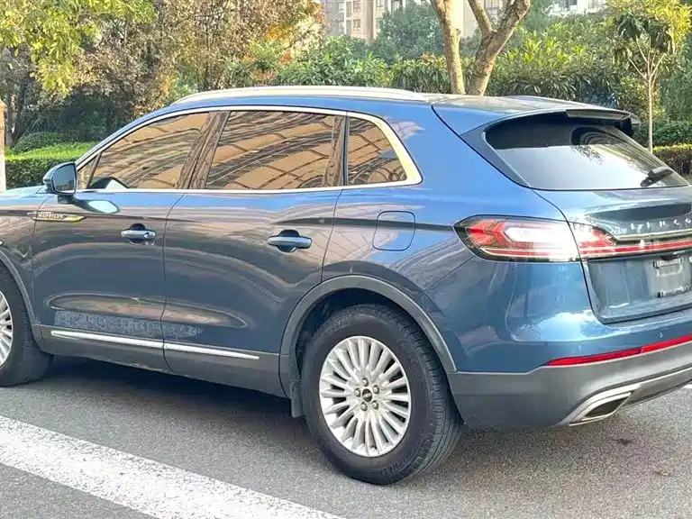 LINCOLN NAVIGATOR (IMPORT)