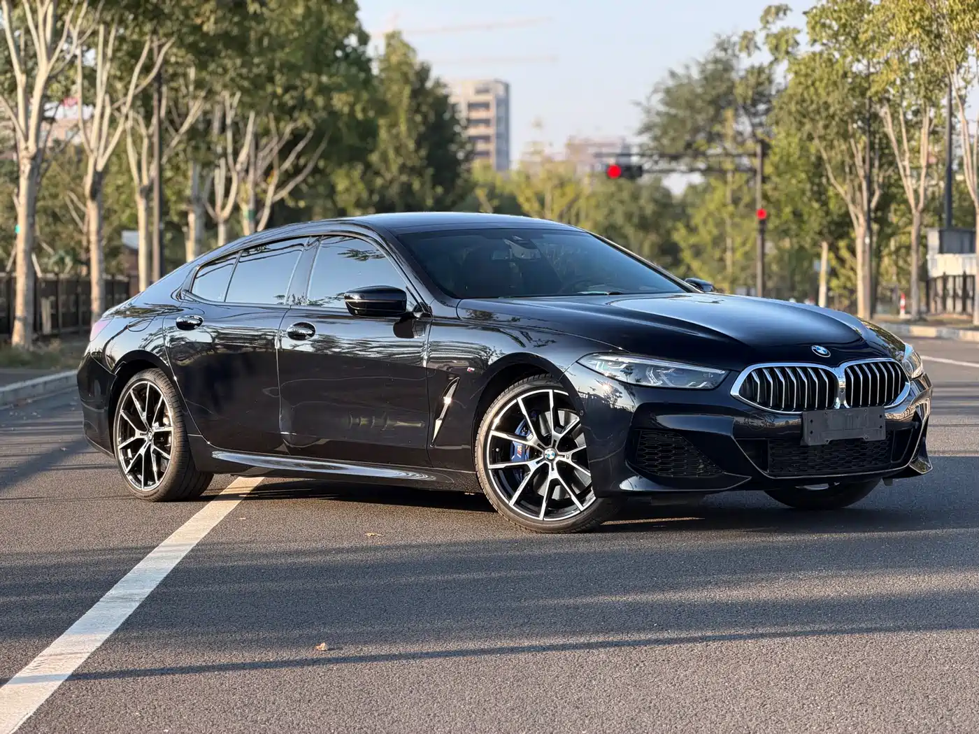 BMW 8 Series