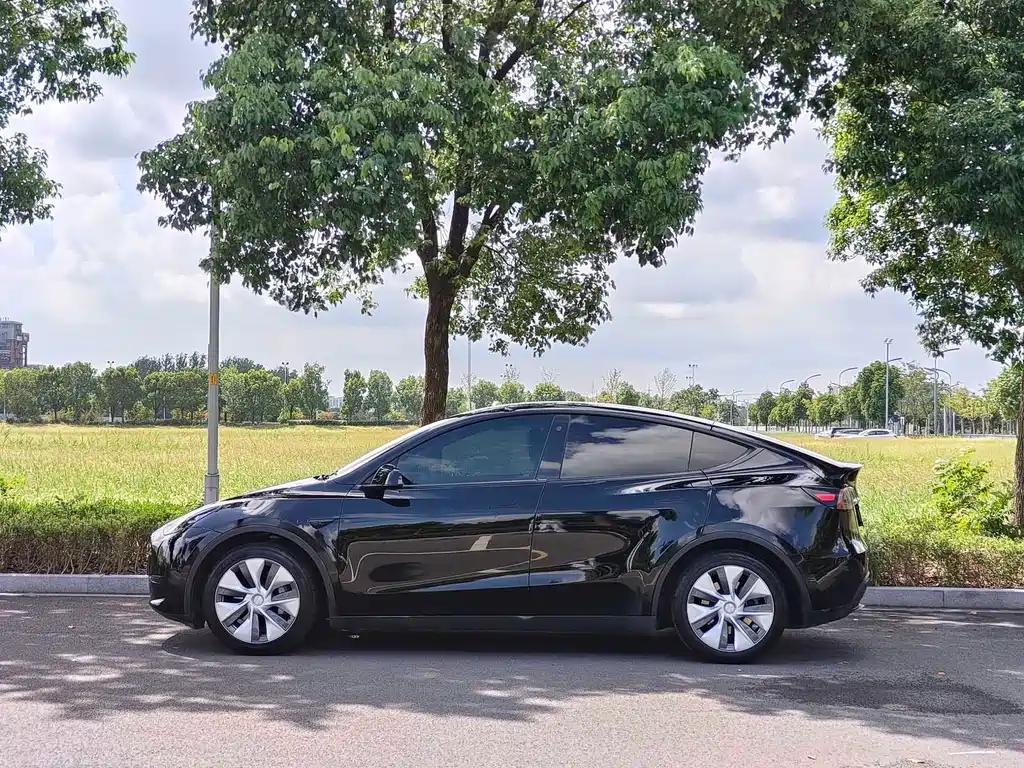 Tesla Model Y — миниатюра 4