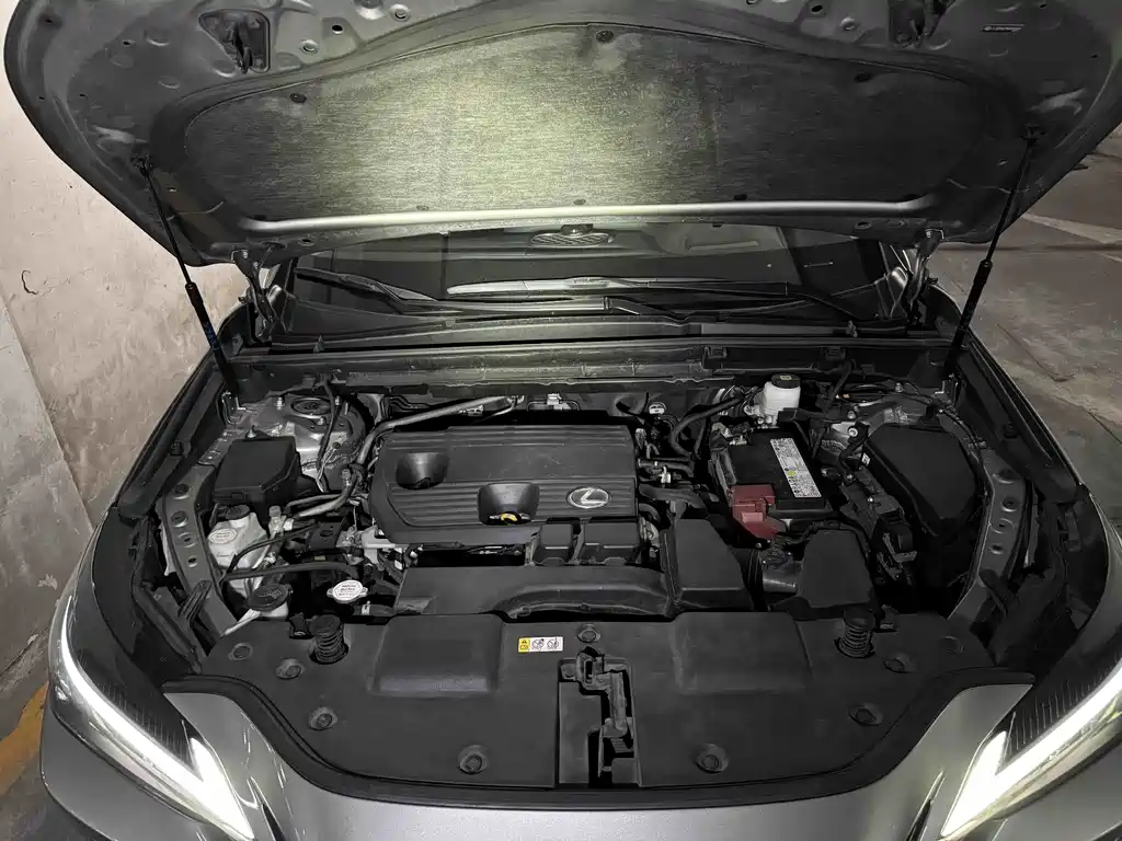 Lexus NX — фотографии объявления, Фото 19