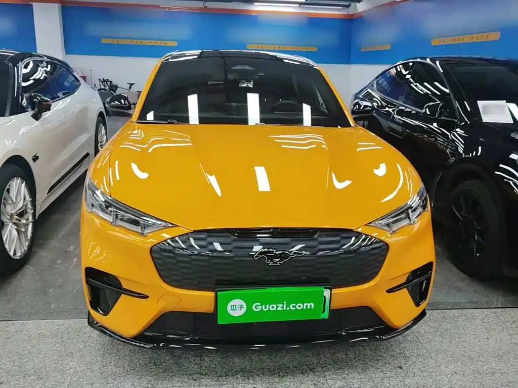 Ford Mustang Mach-E — миниатюра 3