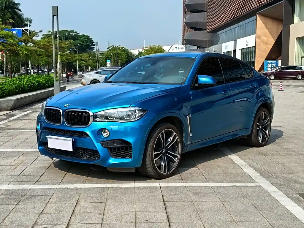 BMW X6 M