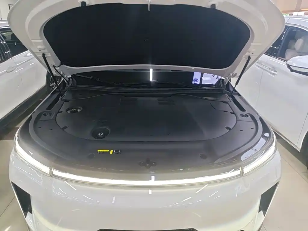 GAC Motor Trumpchi Xiangwang S9 — миниатюра 20