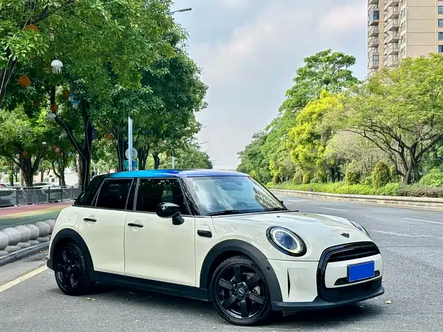 MINI MINI