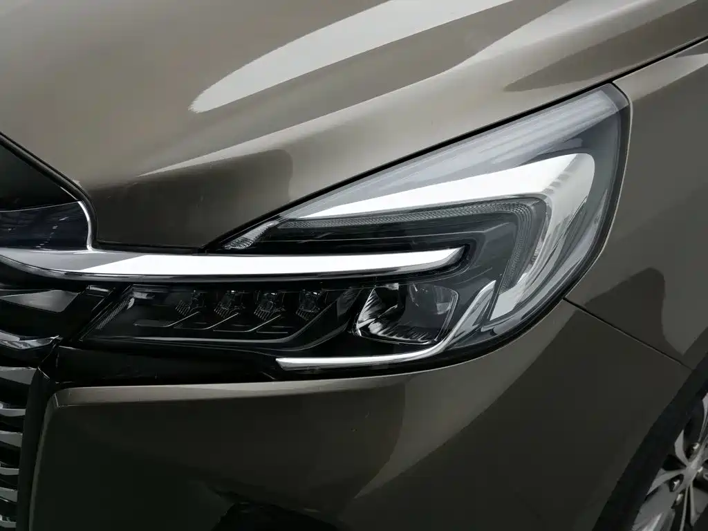 Buick GL8 — миниатюра 7