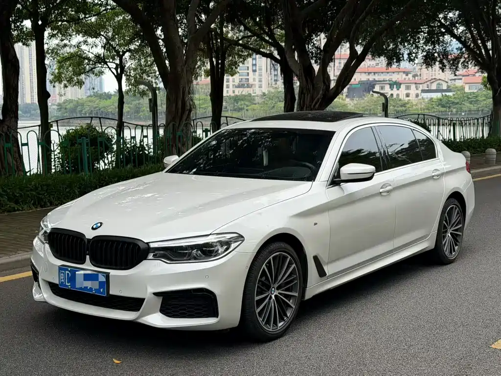 BMW 5 Series 2020