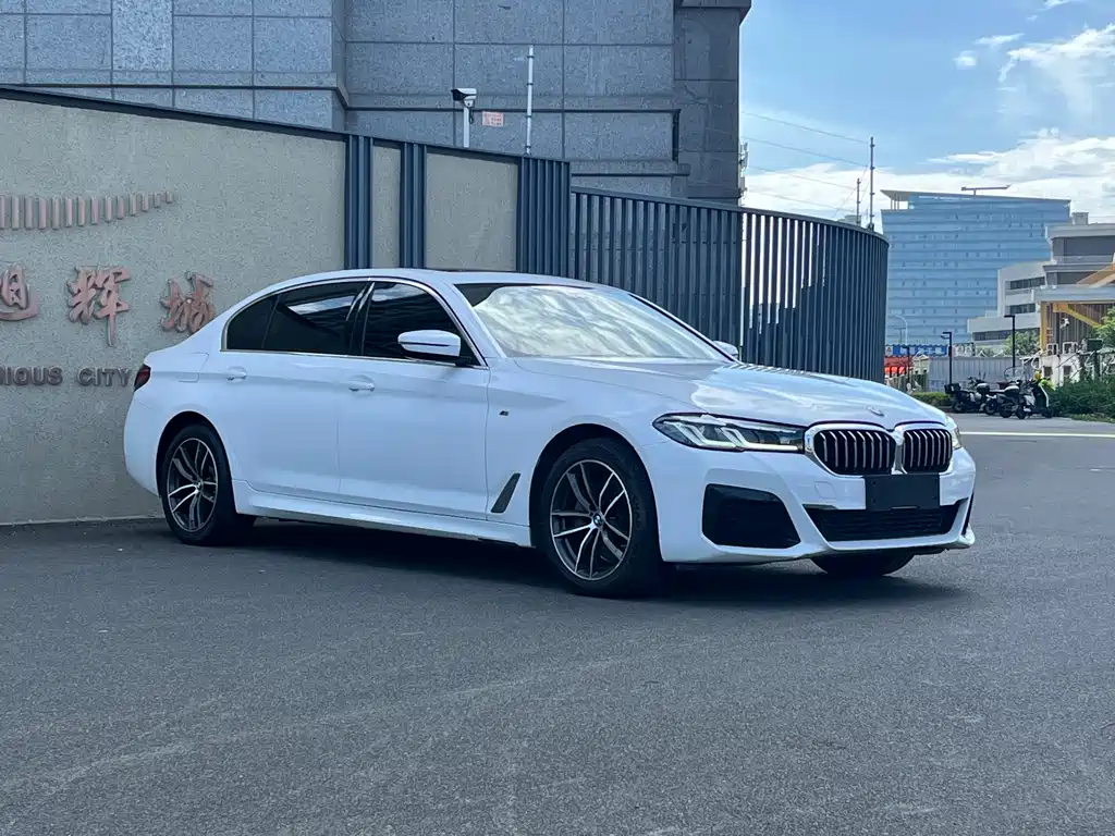 BMW 5 Series — миниатюра 3