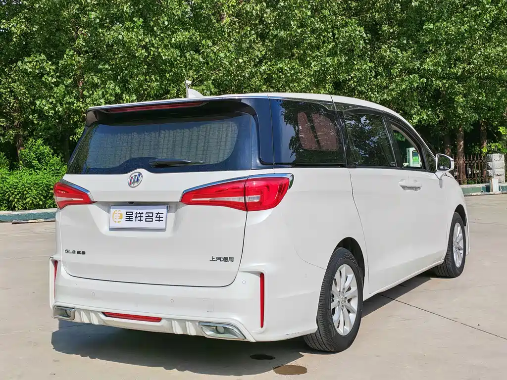 Buick GL8 — миниатюра 11