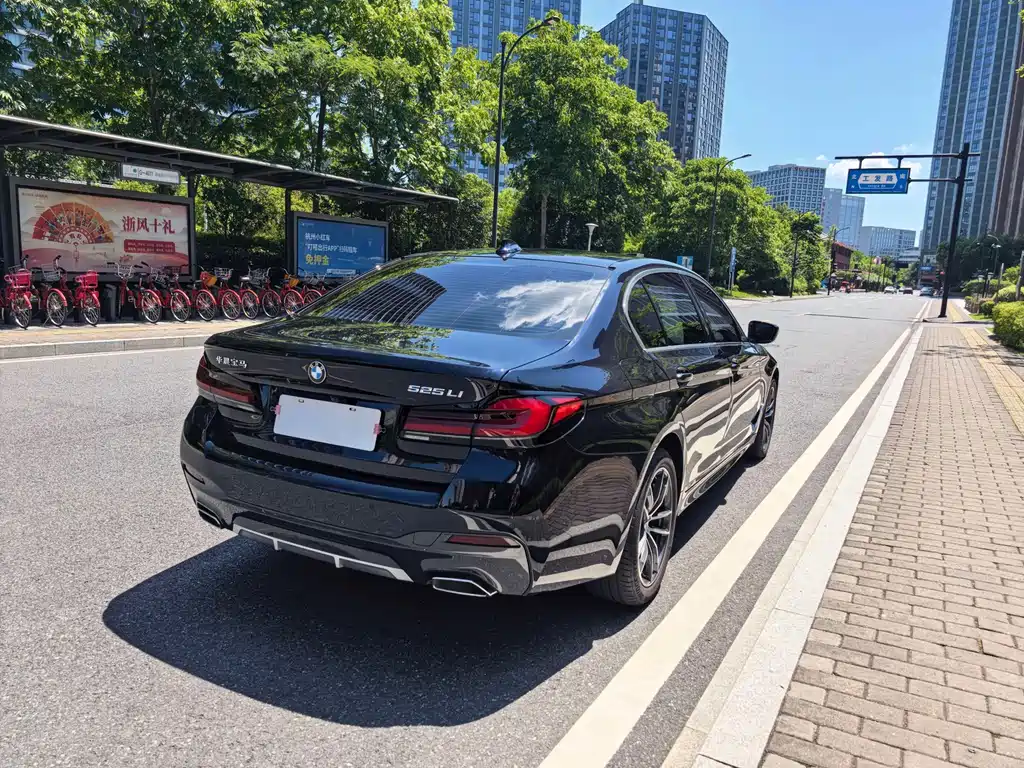 BMW 5 Series — миниатюра 6
