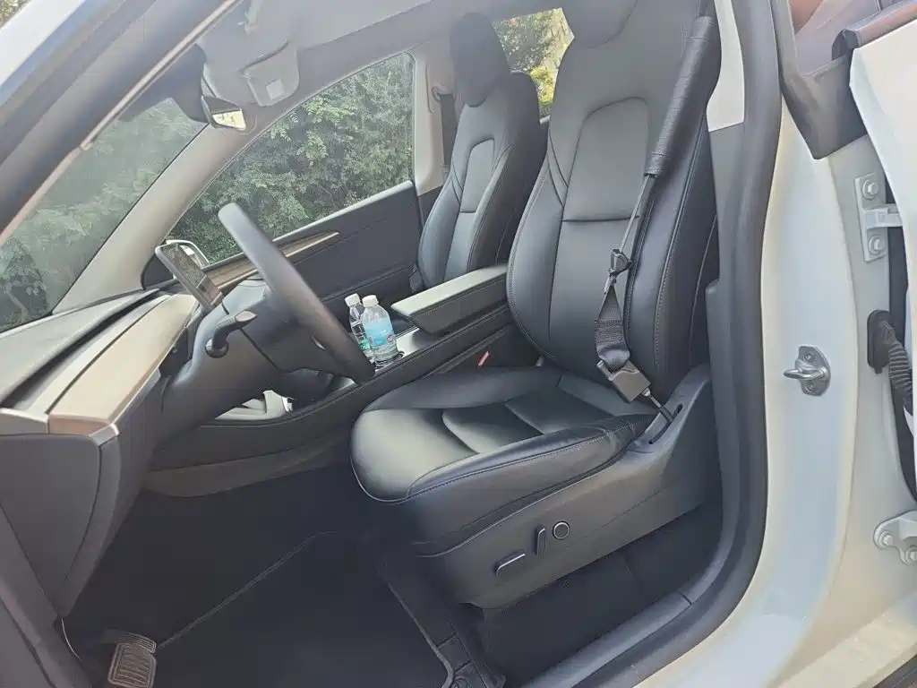 Tesla Model Y — миниатюра 11
