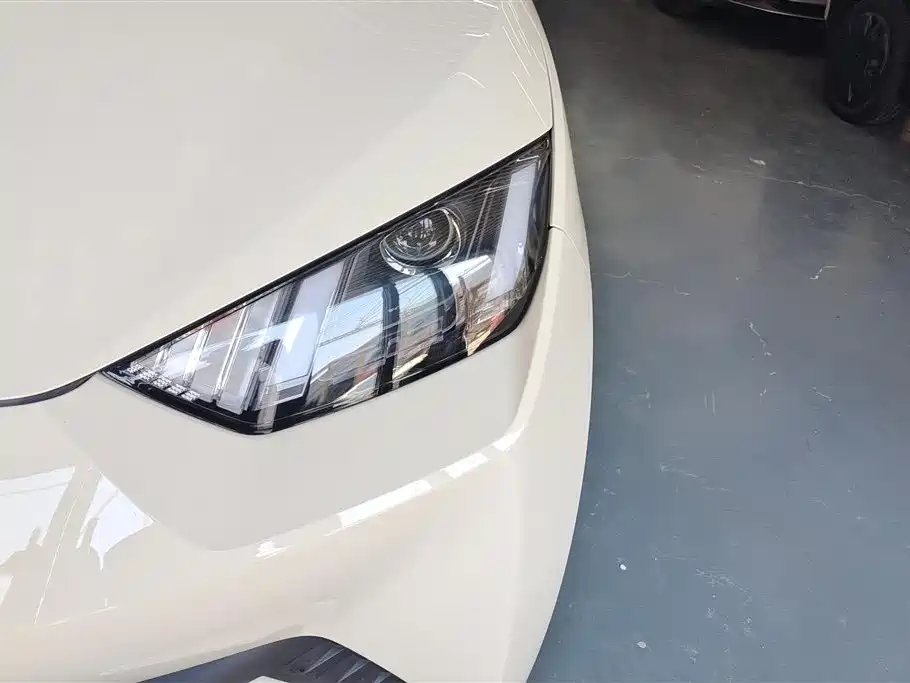 BYD Seagull 2025 305km