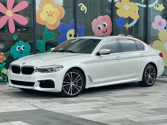 BMW  5 SERIES 2019