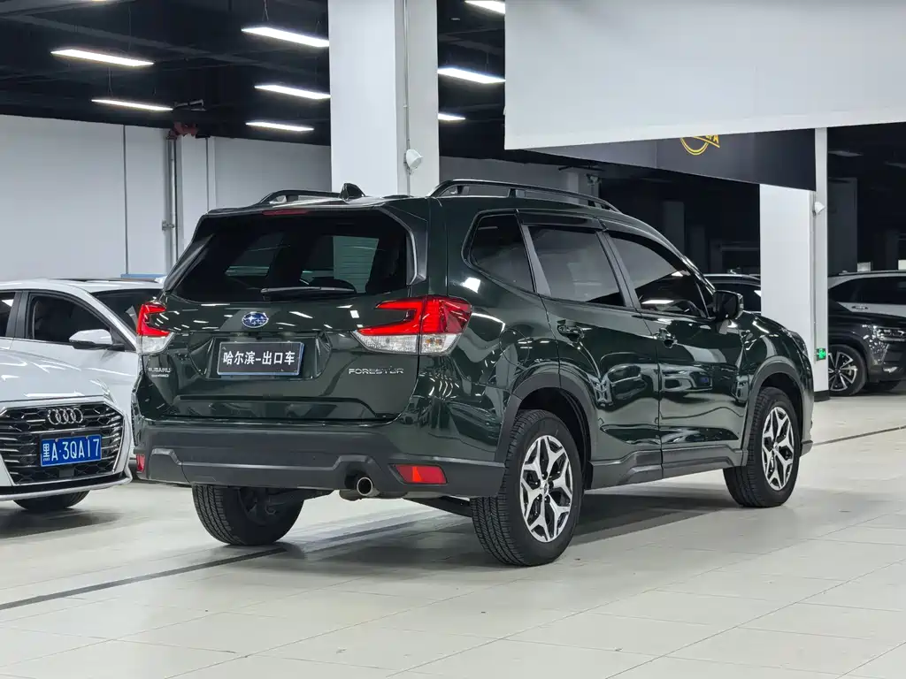 Subaru Forester — миниатюра 26