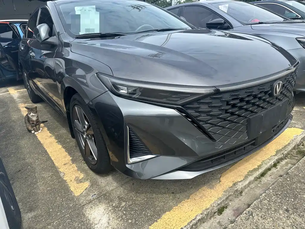 Changan Ruicheng PLUS — миниатюра 3