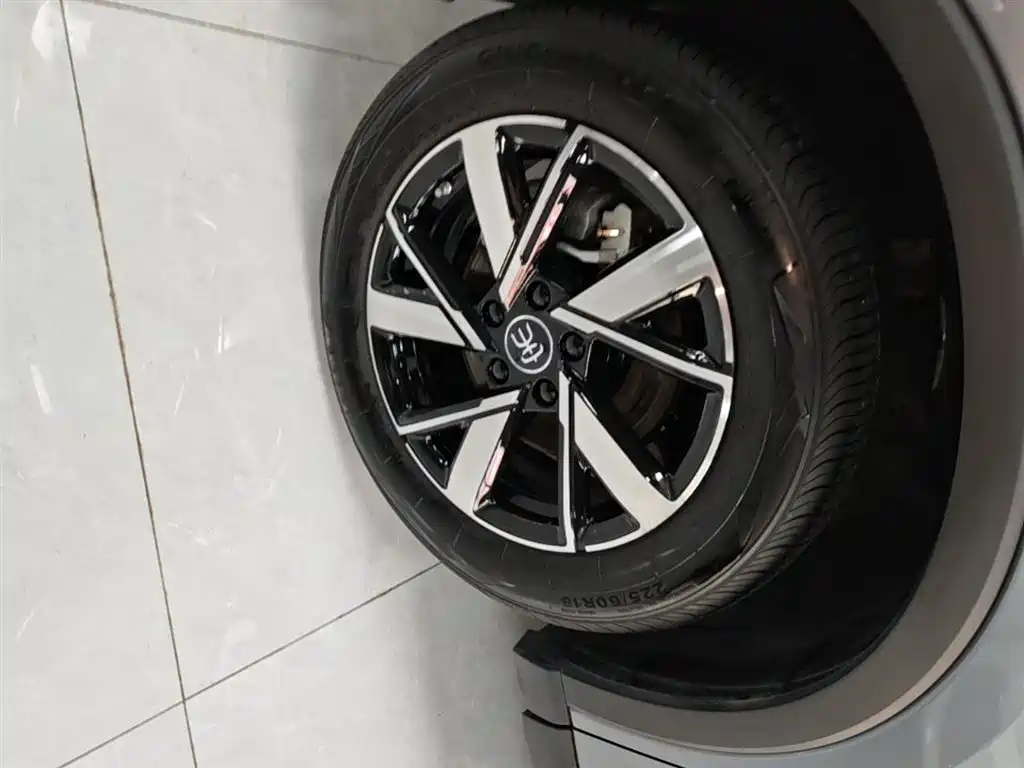 BYD Pro New Energy - фото 25
