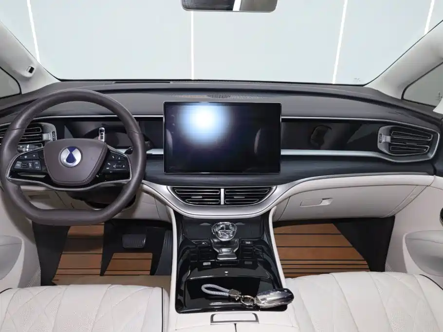 Denza Denza D9 — миниатюра 28