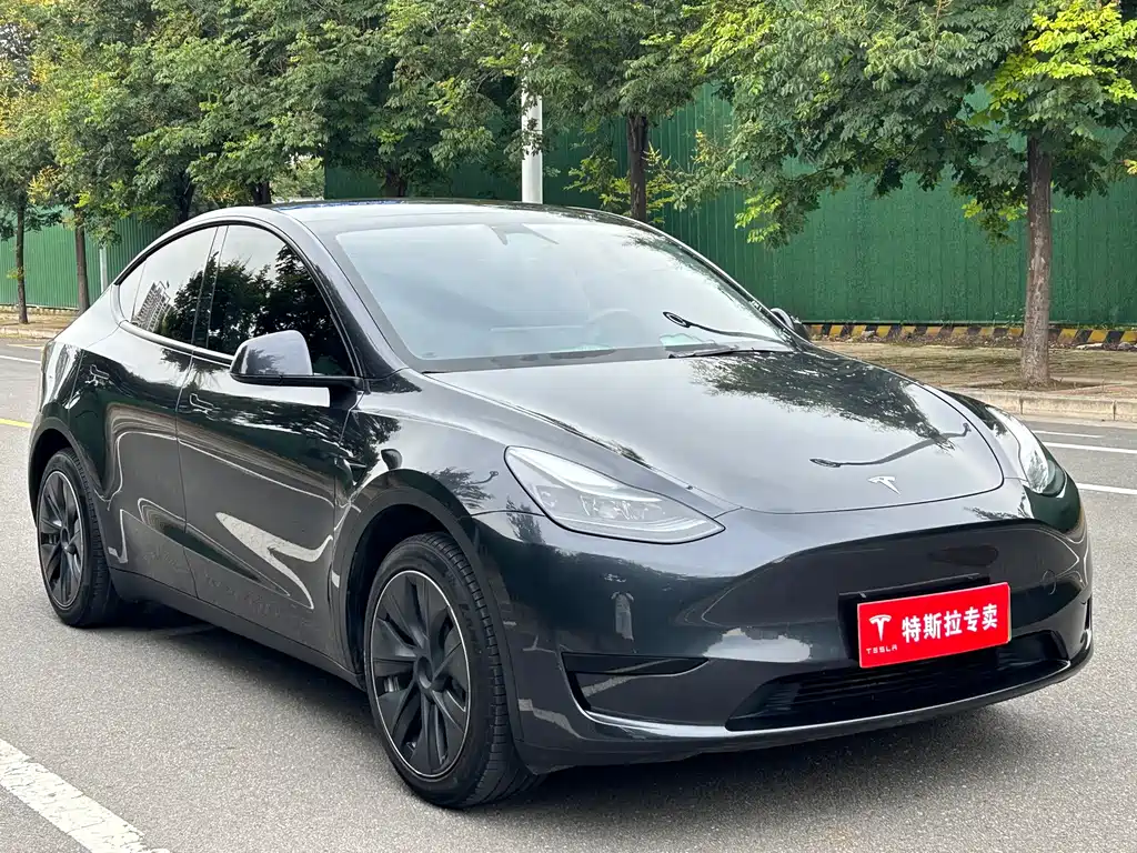 Tesla Model Y — миниатюра 2