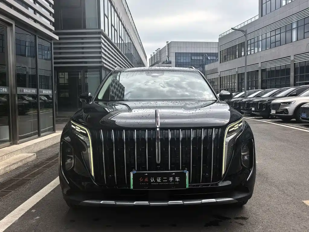 Hongqi Hongqi HS7 PHEV — миниатюра 2