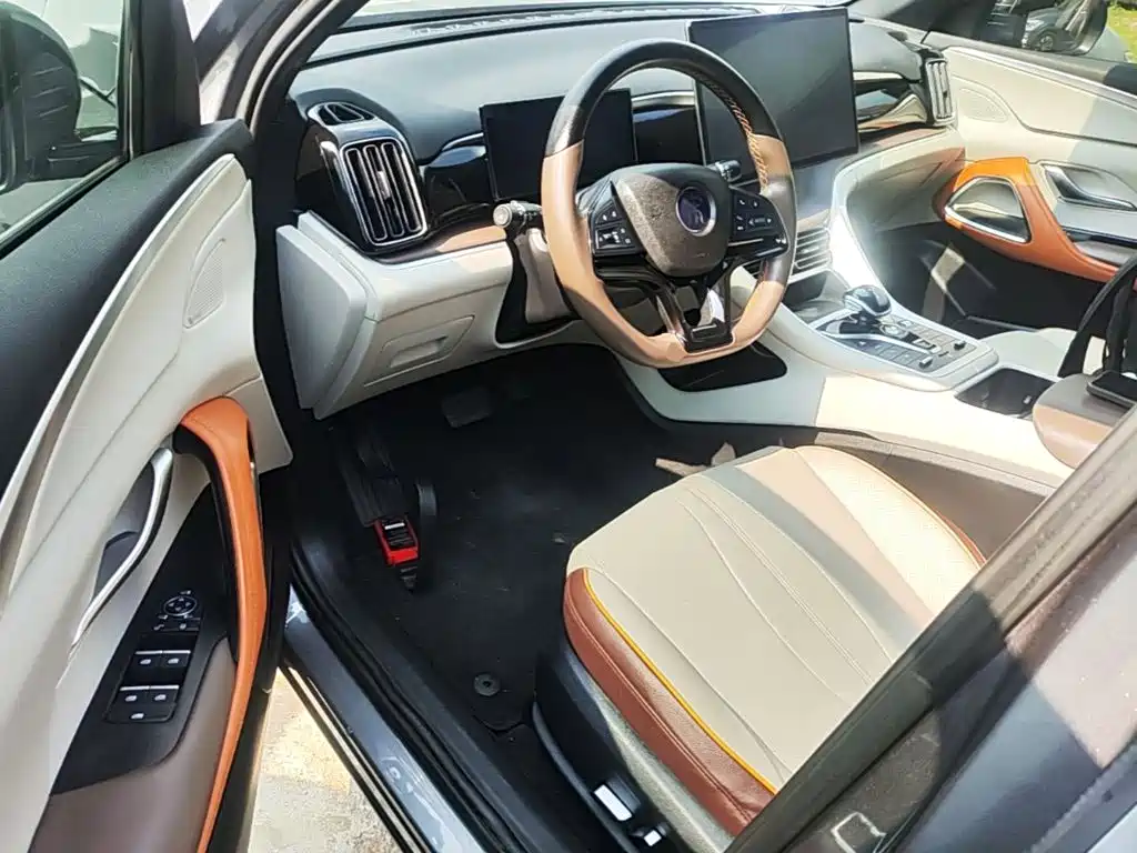 BYD Pro New Energy — миниатюра 16