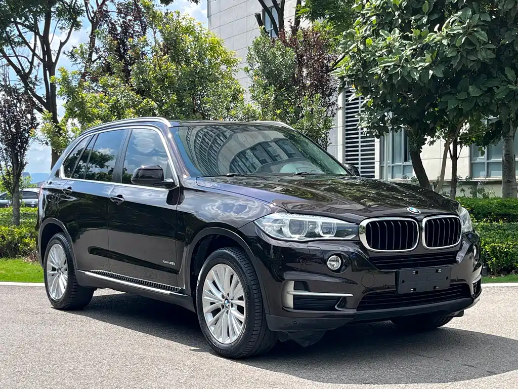 BMW X5 2014 xDrive35i Lead