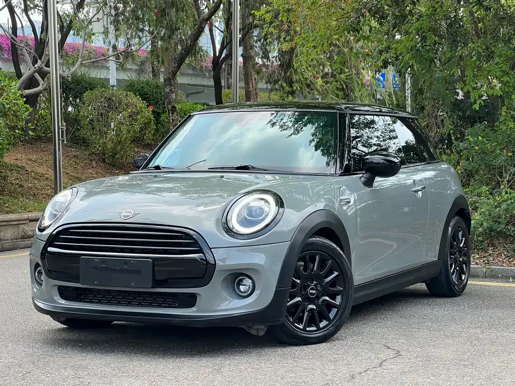 Mini Mini 2021