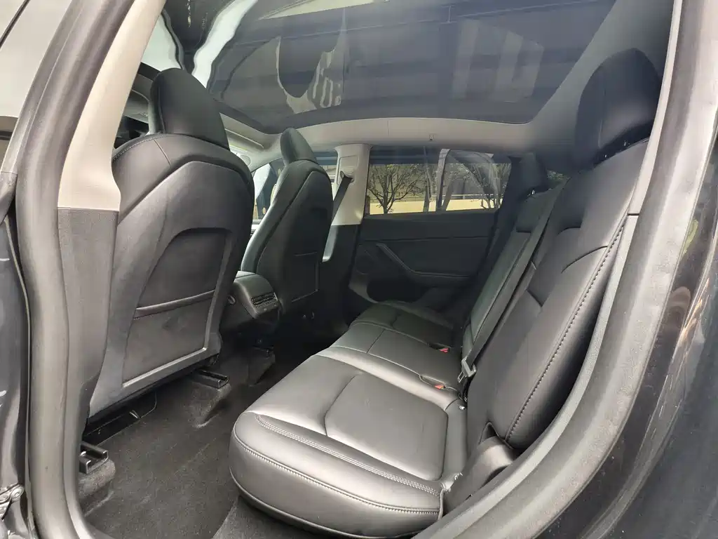Tesla Model Y — миниатюра 6