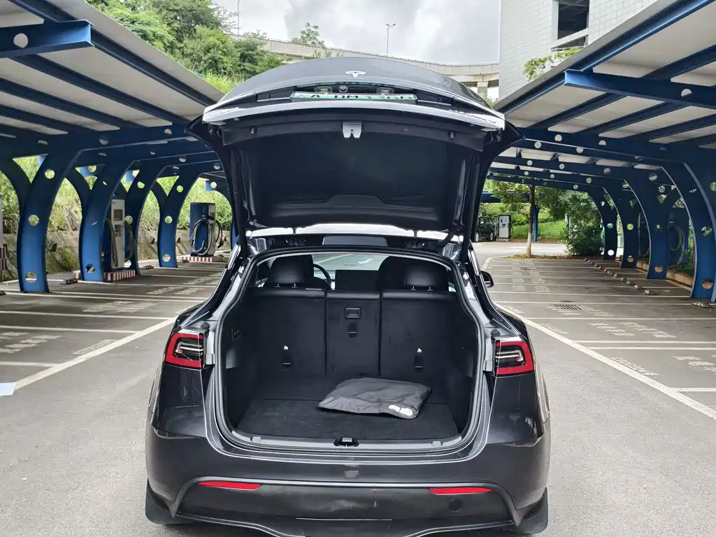 Tesla Model Y — миниатюра 11