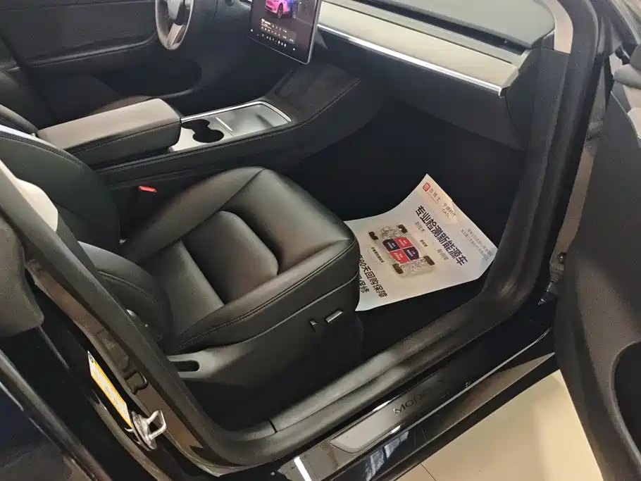 Tesla Model Y — миниатюра 8