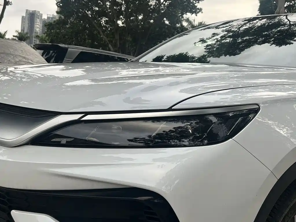 BYD Pro New Energy — миниатюра 2