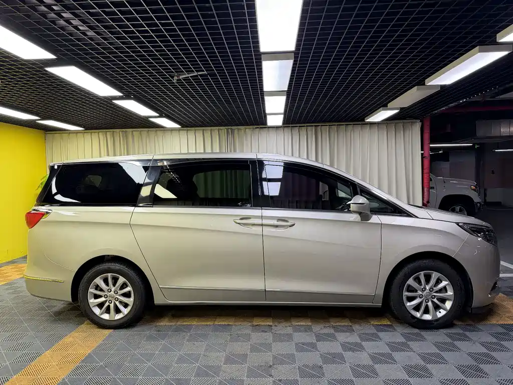 Buick GL8 — миниатюра 5