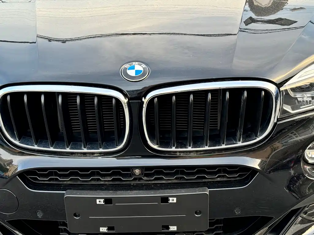 BMW X6 — миниатюра 18