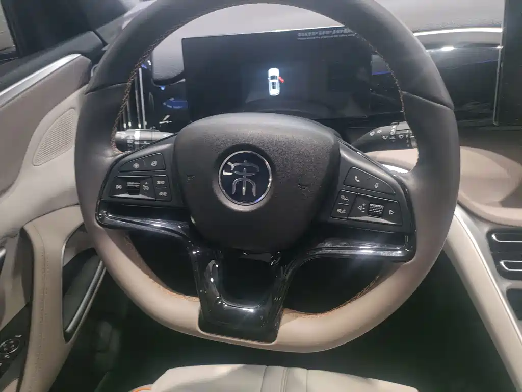 BYD Pro New Energy — миниатюра 6