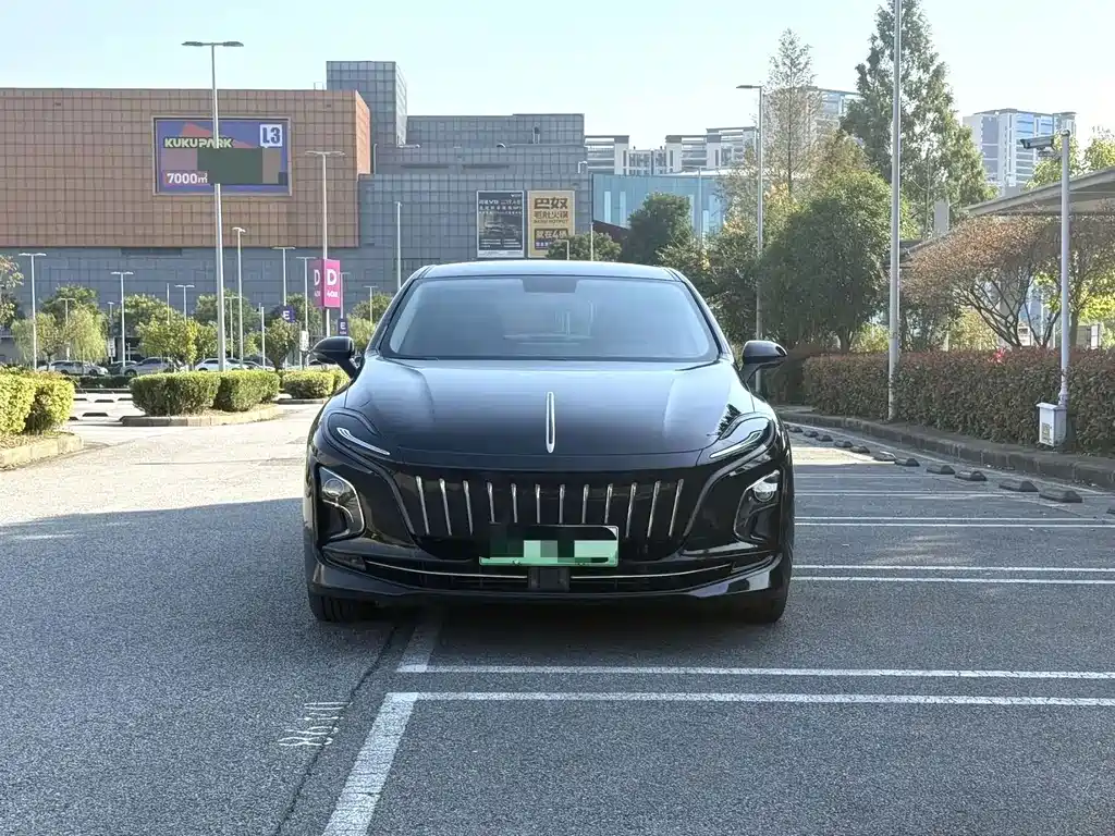 Hongqi Hongqi E-QM5 — миниатюра 2
