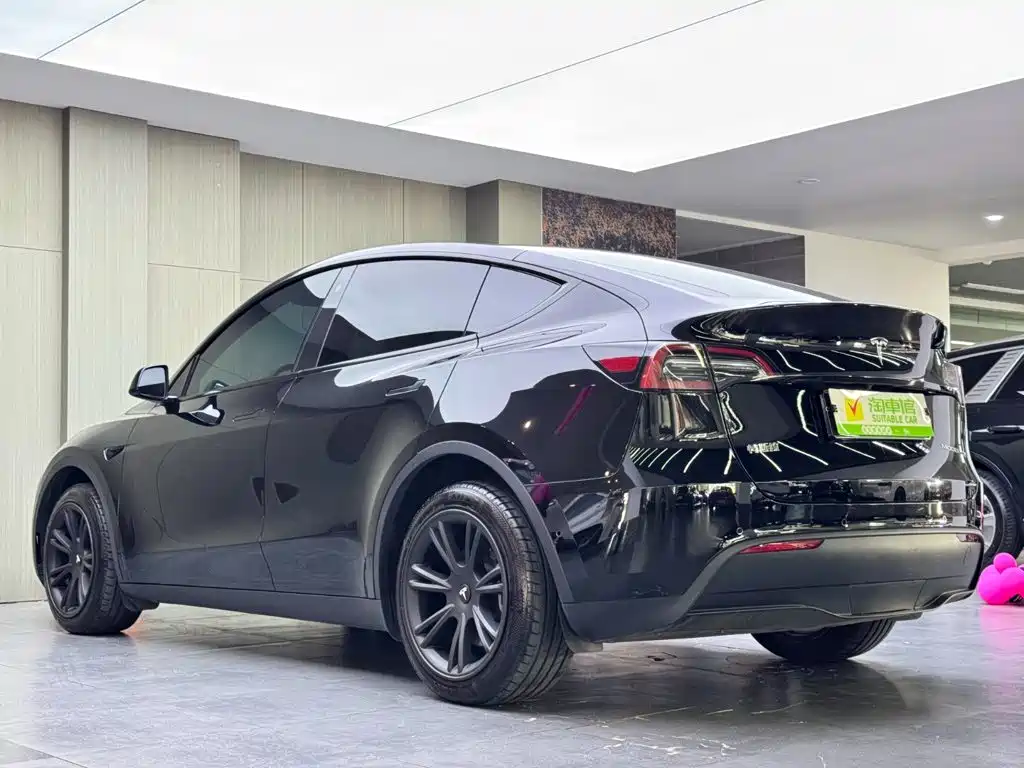 Tesla Model Y — миниатюра 6