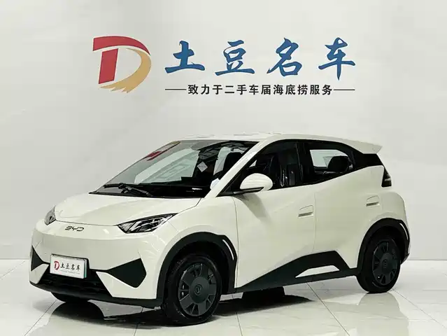 2026 BYD Seagull