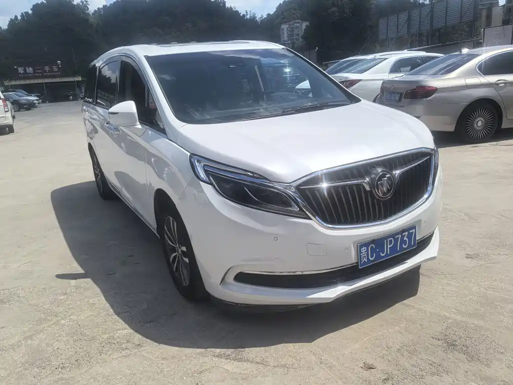 Buick GL8 — миниатюра 3