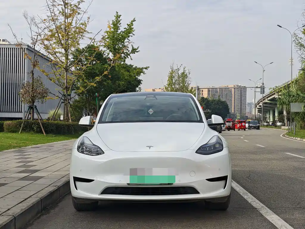 Tesla Model Y — миниатюра 3