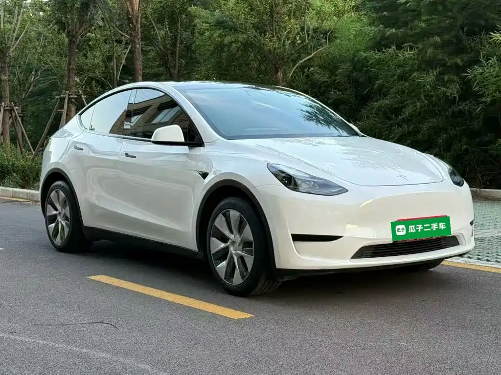 Tesla Model Y — миниатюра 4