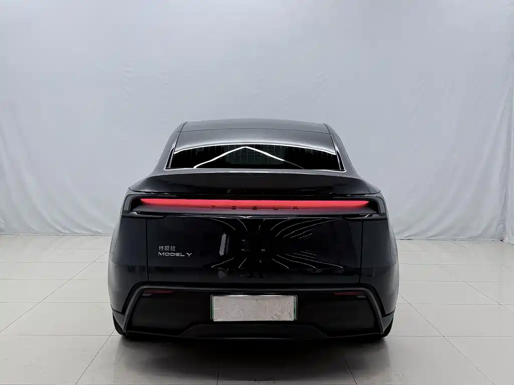 Tesla Model Y — миниатюра 13